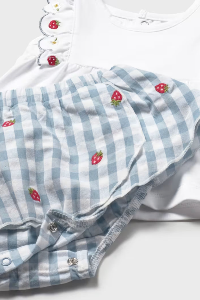 Baby Gingham Skirt and T-Shirt Set
