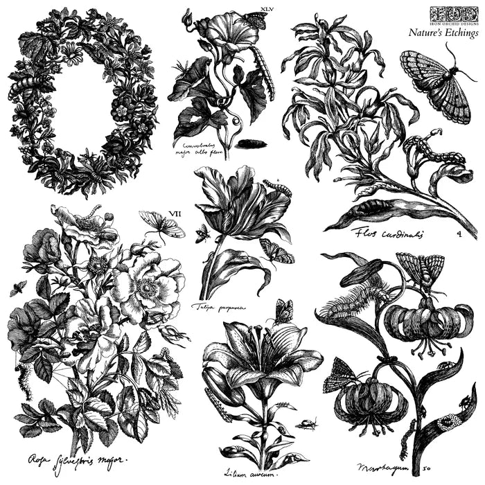 IOD Decor Stamp Nature's Etchings 12" x 12" by Iron Orchid Designs