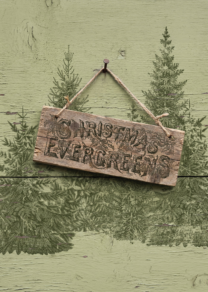 IOD Decor Stamp Winter Grove 12" x 12" by Iron Orchid Designs