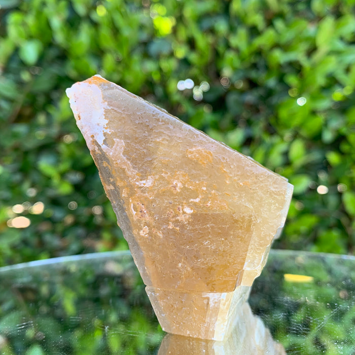 148.0g 9x5x5cm Gold Yellow Honey Calcite from China