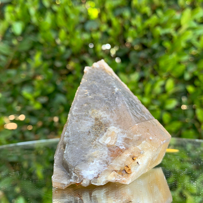 148.0g 9x5x5cm Gold Yellow Honey Calcite from China