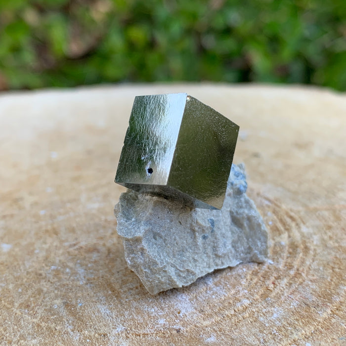 16.0g 2x2x2cm Matrix Silver Spanish Pyrite from Spain