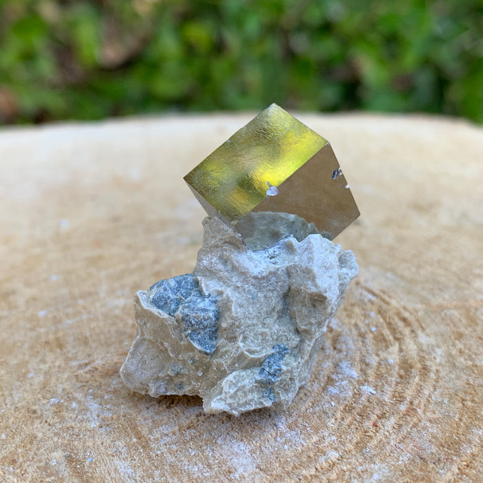 16.0g 2x2x2cm Matrix Silver Spanish Pyrite from Spain
