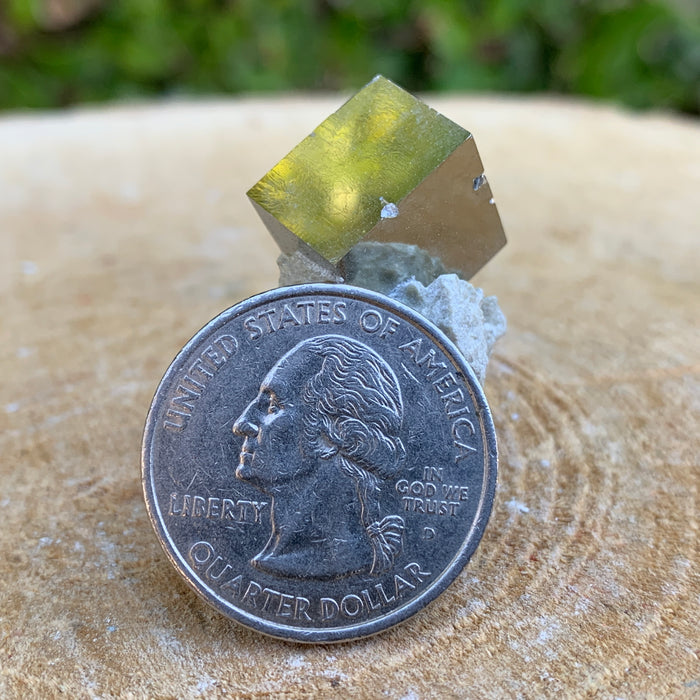 16.0g 2x2x2cm Matrix Silver Spanish Pyrite from Spain