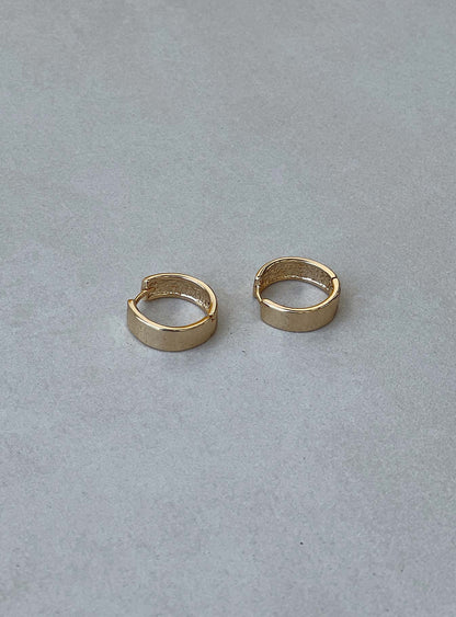 Archo Gold Plated Earrings
