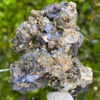 306g 7x6.5x5cm Silver Galena and Gold Pyrite from Peru
