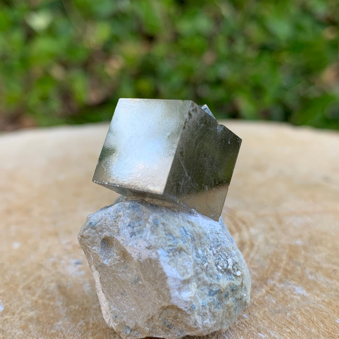 42.0g 3x3x3cm Matrix intergrown Silver Spanish Pyrite from Spain