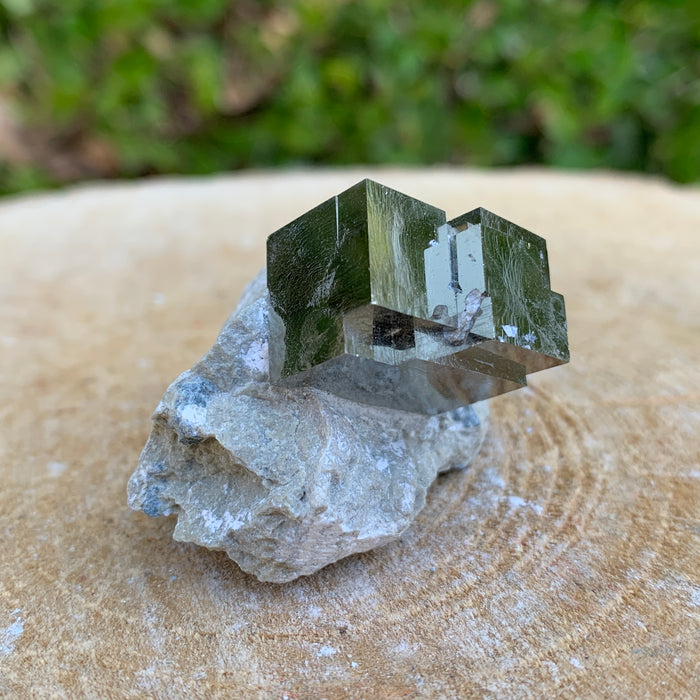 48.0g 3x3x3cm Matrix intergrown Silver Spanish Pyrite from Spain