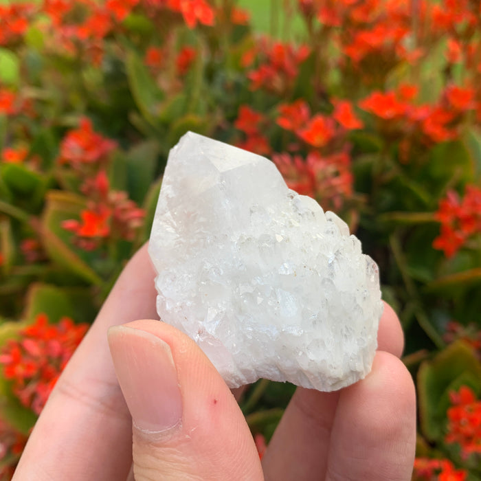 58g 5x4x3cm White Pineapple Quartz from Madagascar