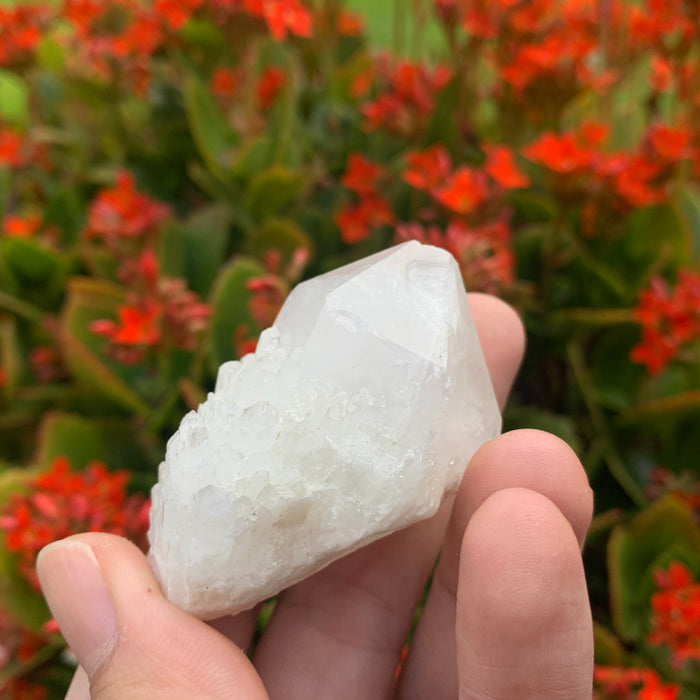 58g 5x4x3cm White Pineapple Quartz from Madagascar