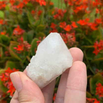 58g 5x4x3cm White Pineapple Quartz from Madagascar