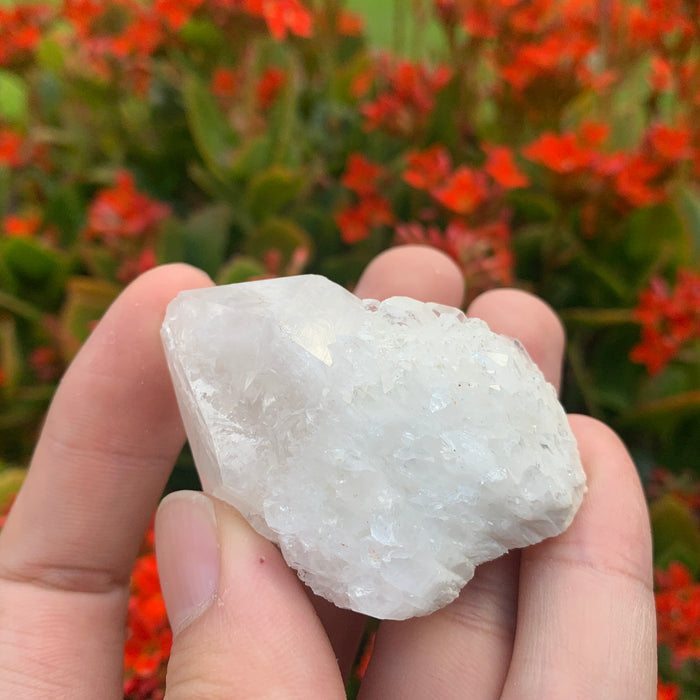 58g 5x4x3cm White Pineapple Quartz from Madagascar