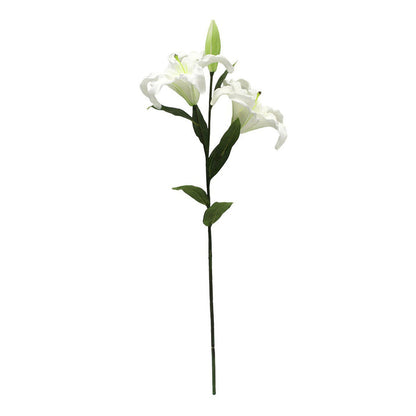 Asiatic Lily Stem