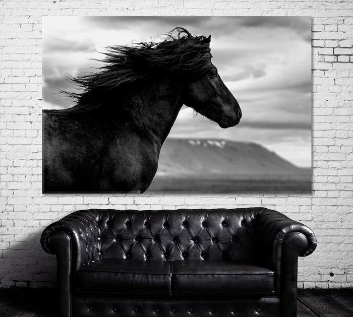 Black Wild Horse Wall Art Decor Frame Canvas Printing-1Panel