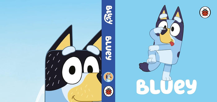 Bluey Little Library: 4 Mini Board Books