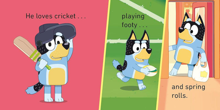 Bluey Little Library: 4 Mini Board Books