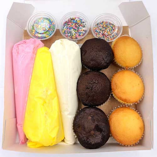 Cupcake Decorating Kit