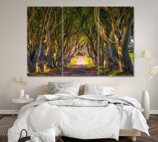 Dark Hedges Trees Tunnel Wall Art Frame Canvas Printing Decor-3Panels