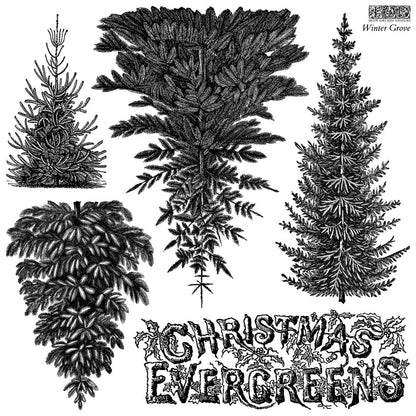 IOD Decor Stamp Winter Grove 12" x 12" by Iron Orchid Designs