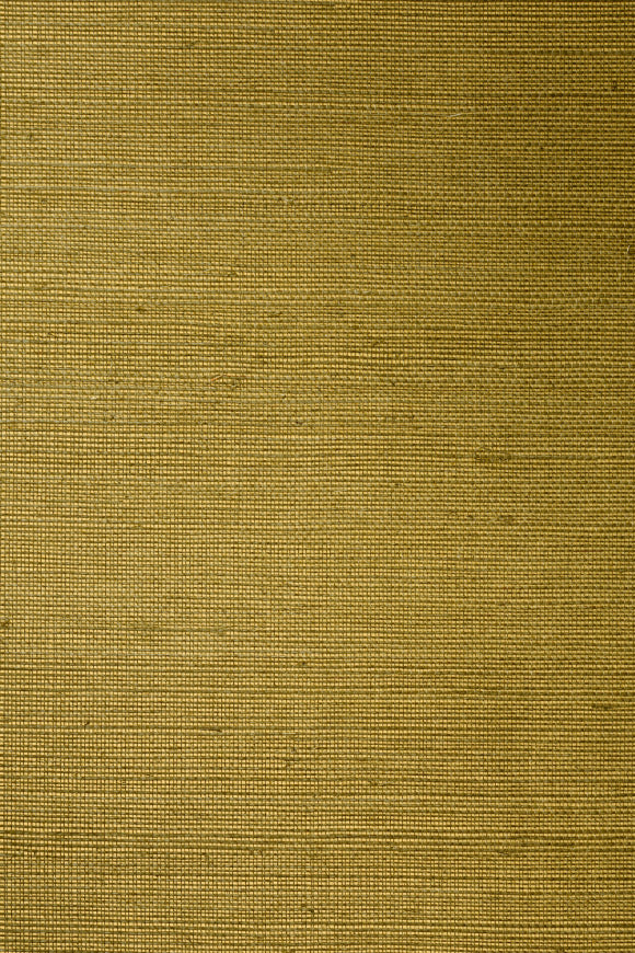 Gold Olive