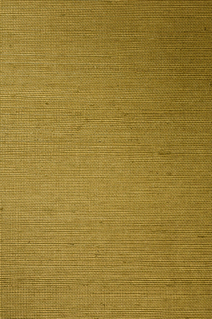 Gold Olive