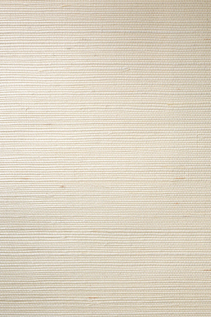 Oyster White