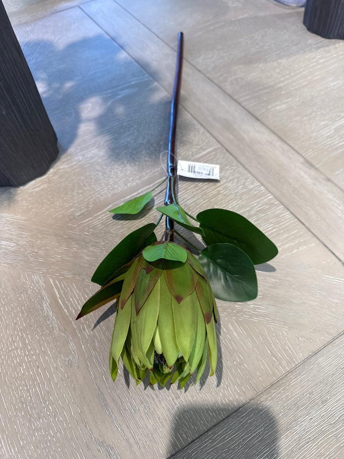 Protea single stem green-faux plants-Renaissance Design Studio