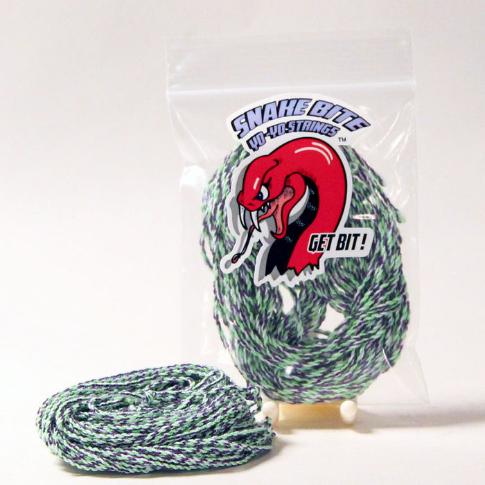 Garter Snake