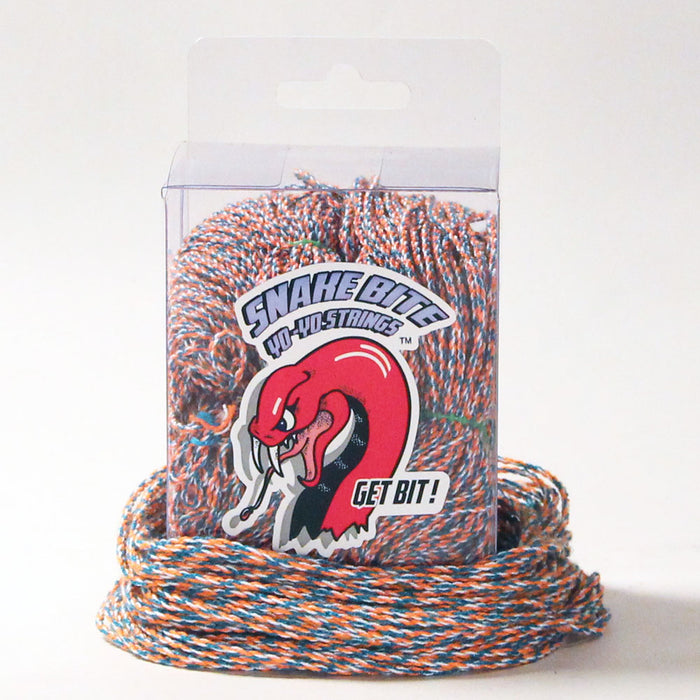 Coral Snake