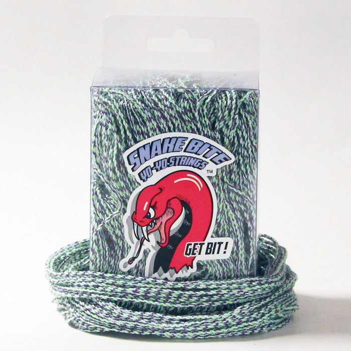 Garter Snake