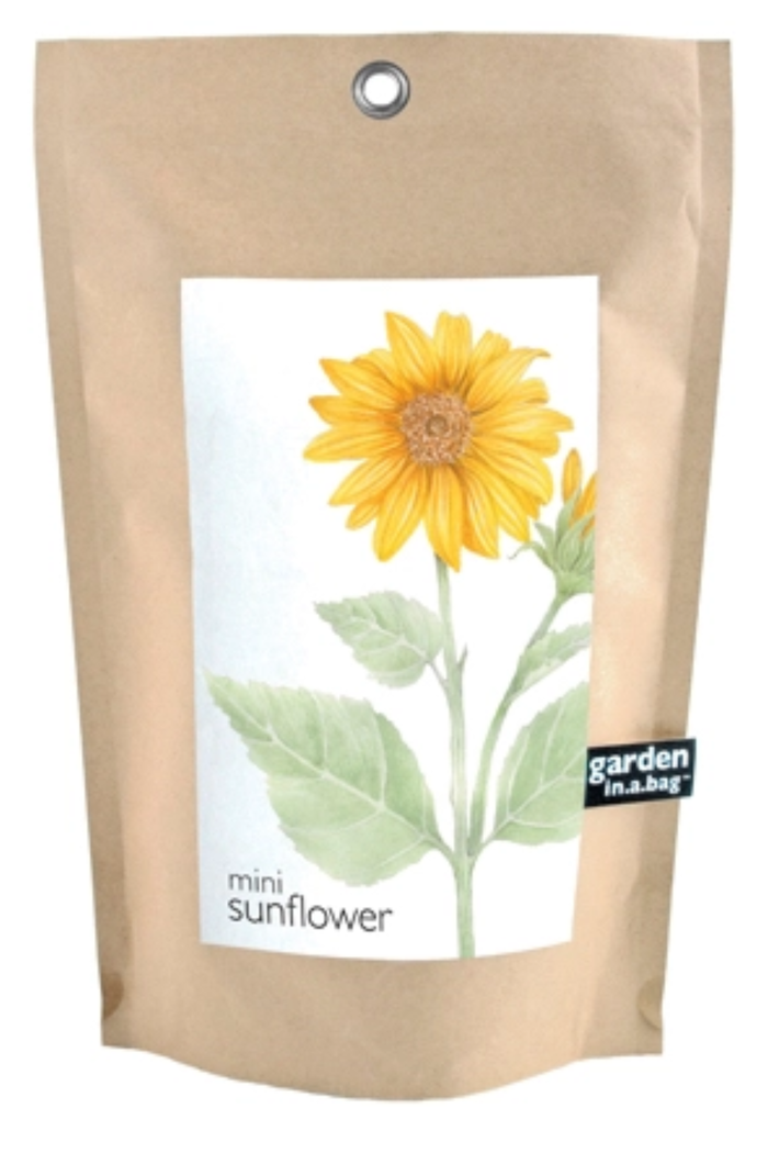 Sunflower Garden in a Bag