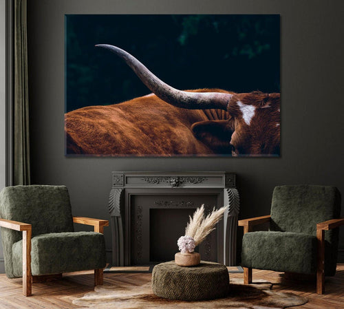 Texas Longhorn Cow Wall Art Decor Frame Canvas Printing-1Panel