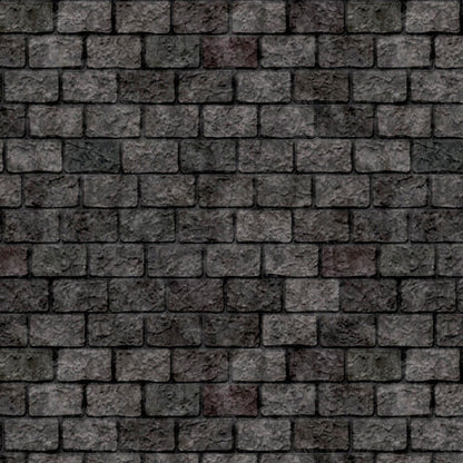 The Dragon's Labyrinth