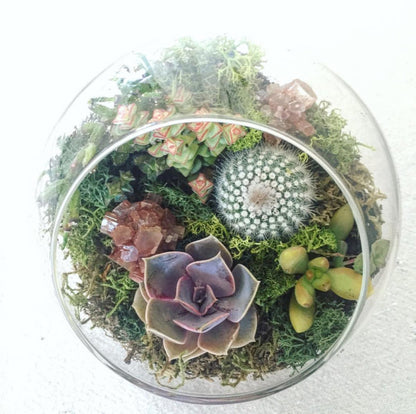 The Landslide Terrarium
