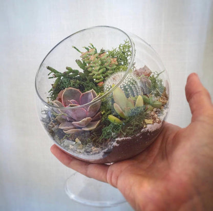 The Landslide Terrarium