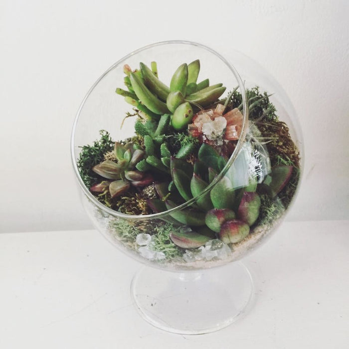 The Landslide Terrarium
