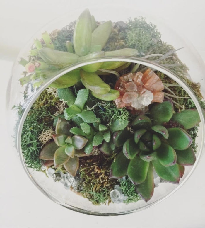 The Landslide Terrarium