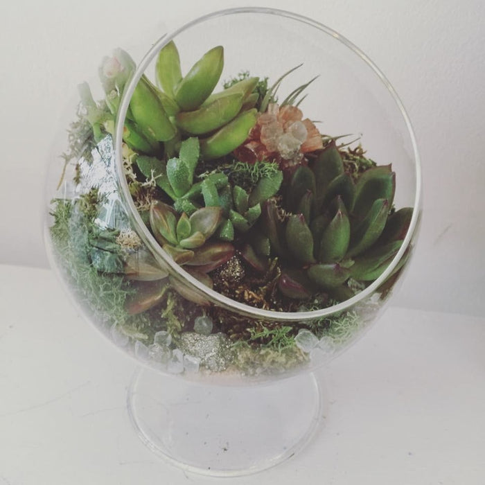 The Landslide Terrarium
