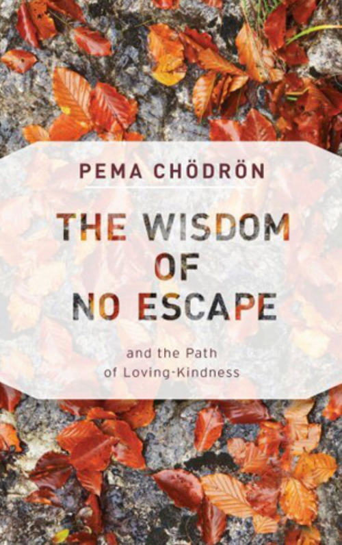 The Wisdom of No Escape by Pema Chödrön