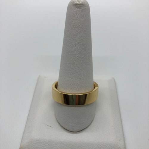 Titanium and Brass Ring