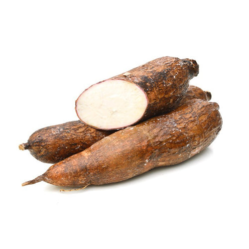 Yuca (MIA)-B